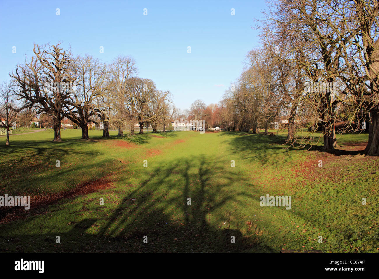 carshalton-park-in-the-london-borough-of-sutton-england-uk-stock-photo