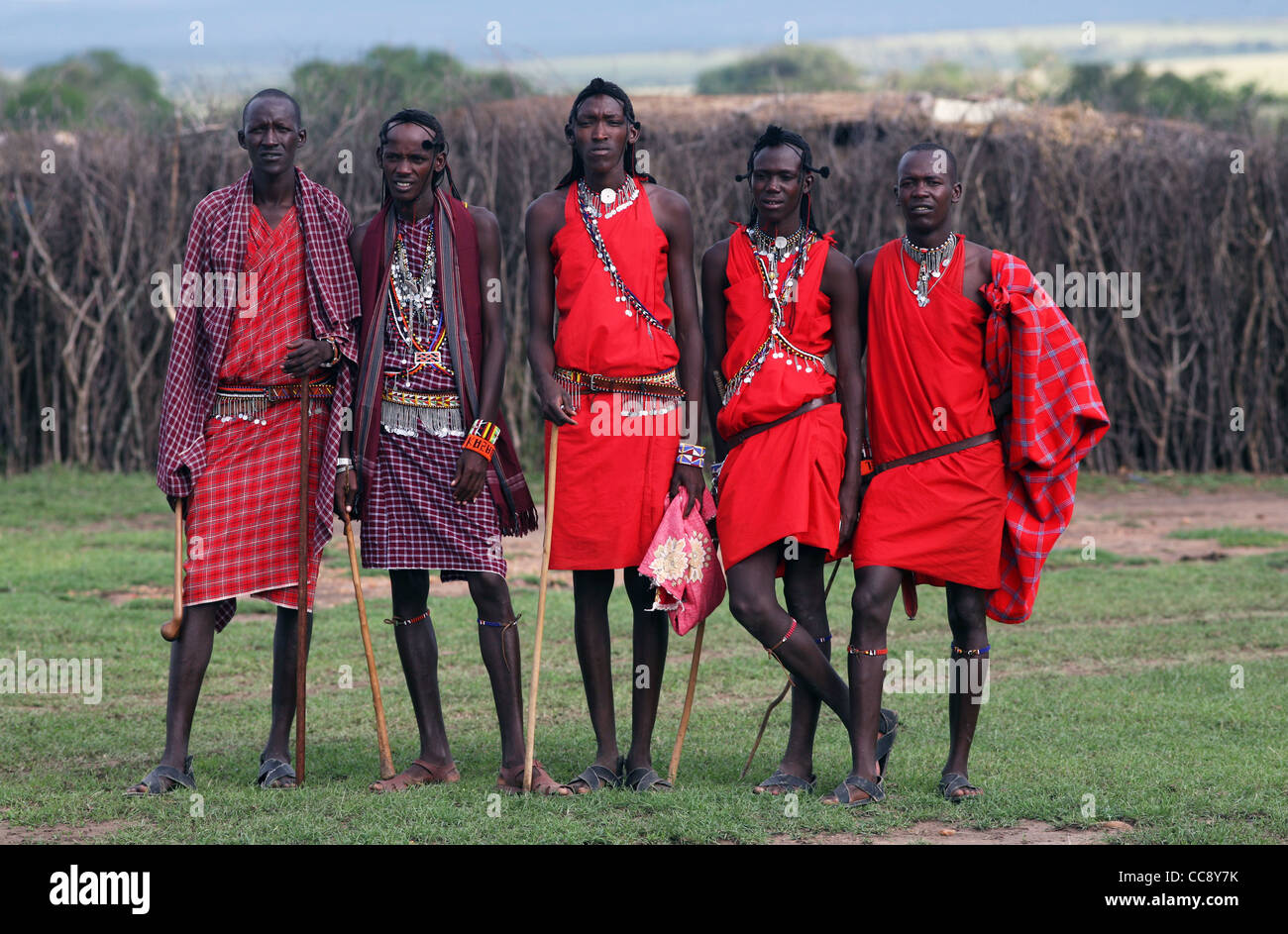 Masai men in traditional dress by their village perimeter fence, Masai Mara, Kenya, East Africa. 2/2/2009. Photograph: Stuart Boulton/Alamy Stock Photo