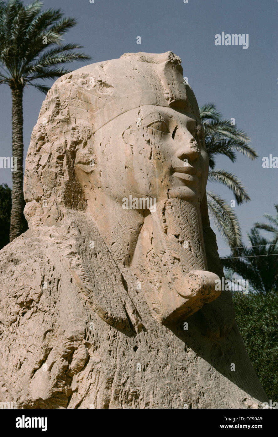 Alabaster Sphinx, Memphis, Egypt Stock Photo - Alamy