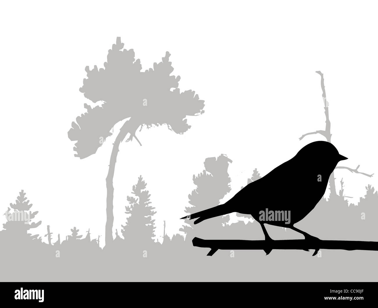 Silhouette Of The Bird On Branch