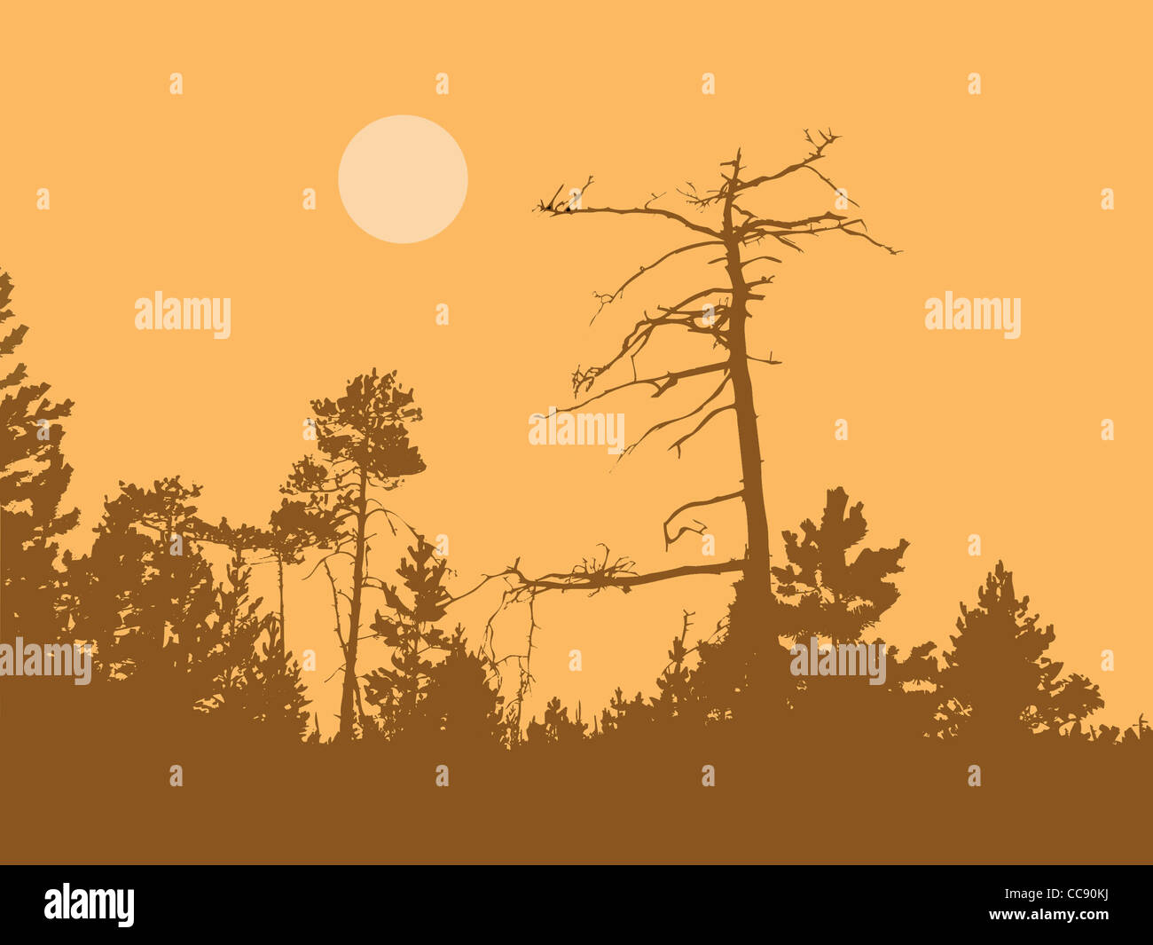 vector silhouette dry tree in wild wood Stock Photo - Alamy