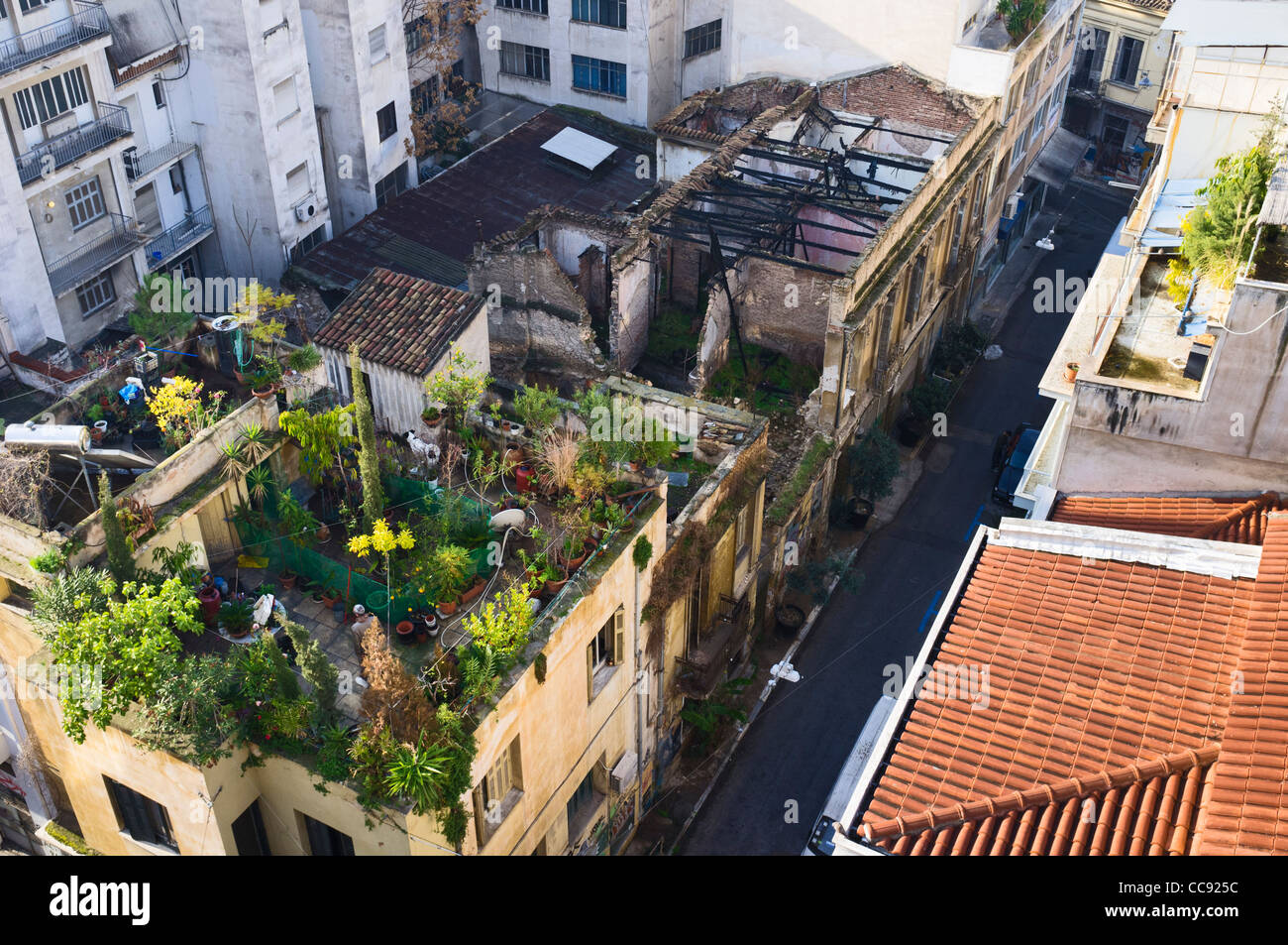 Roof garden - Athens, Greece, Europe Stock Photo