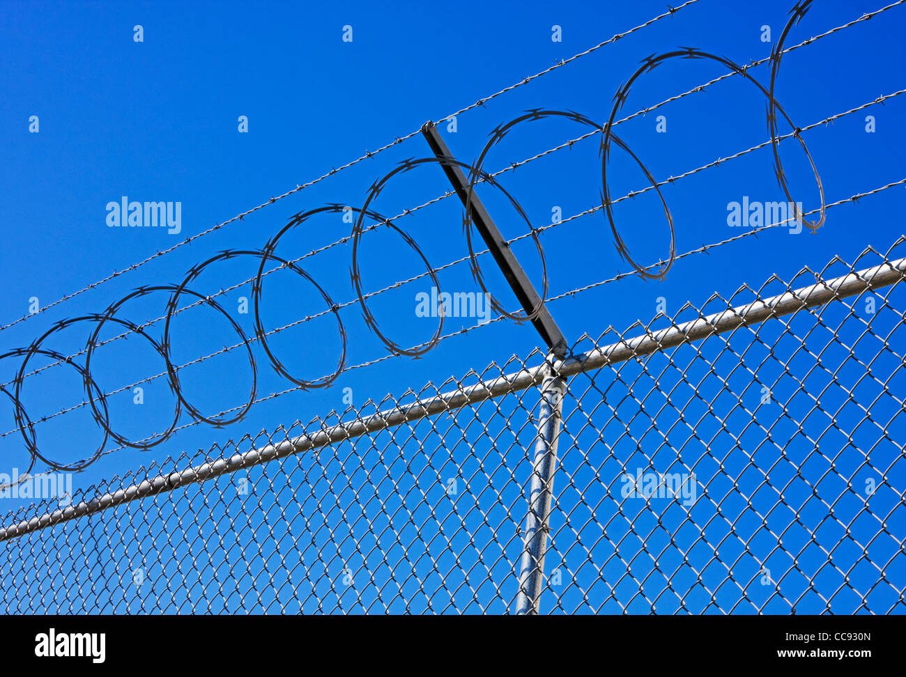 barbed wire and chain link fence Stock Photo Alamy