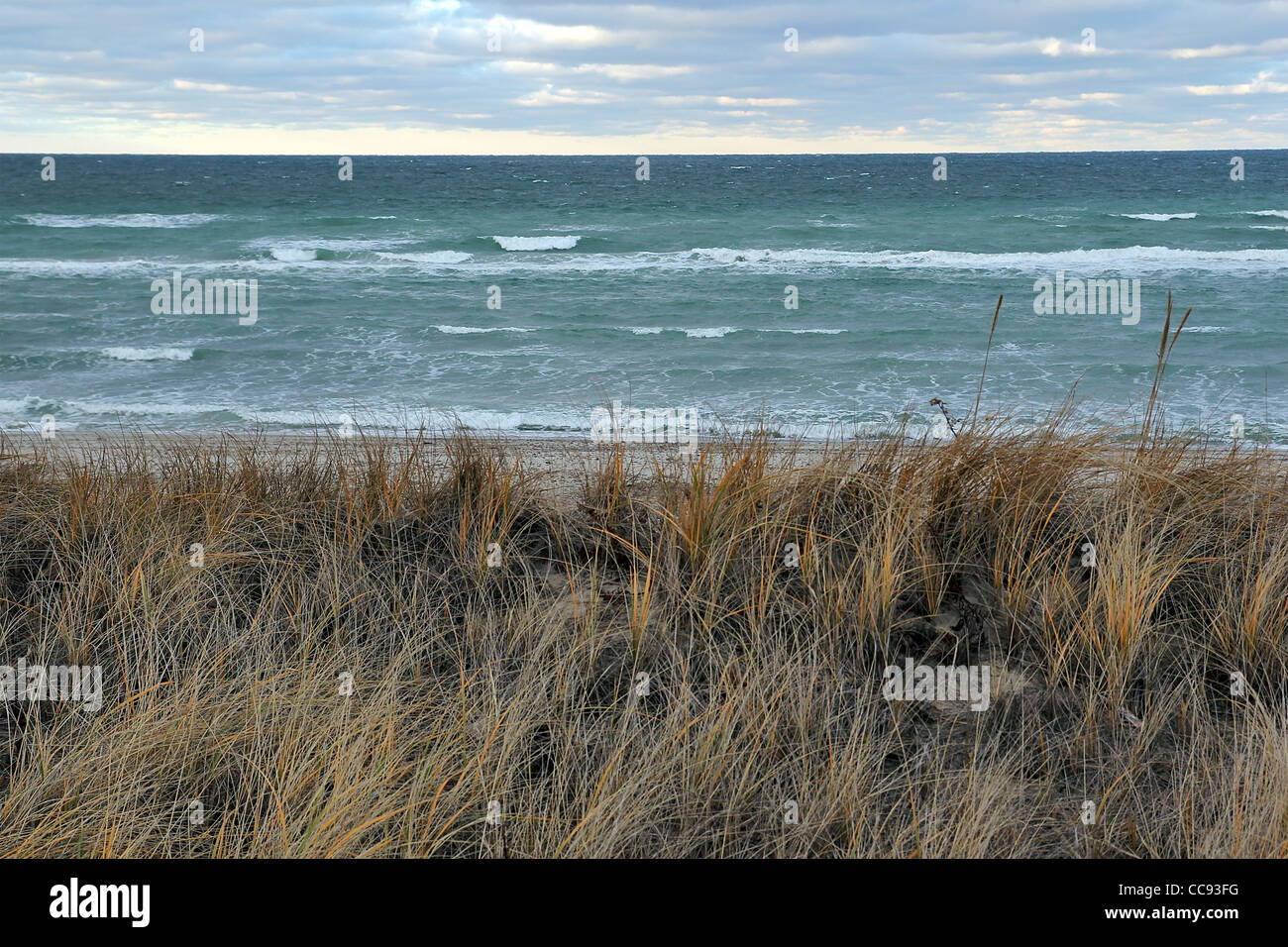 Looking over beach grass towards the ocean in December. Stock Photo
