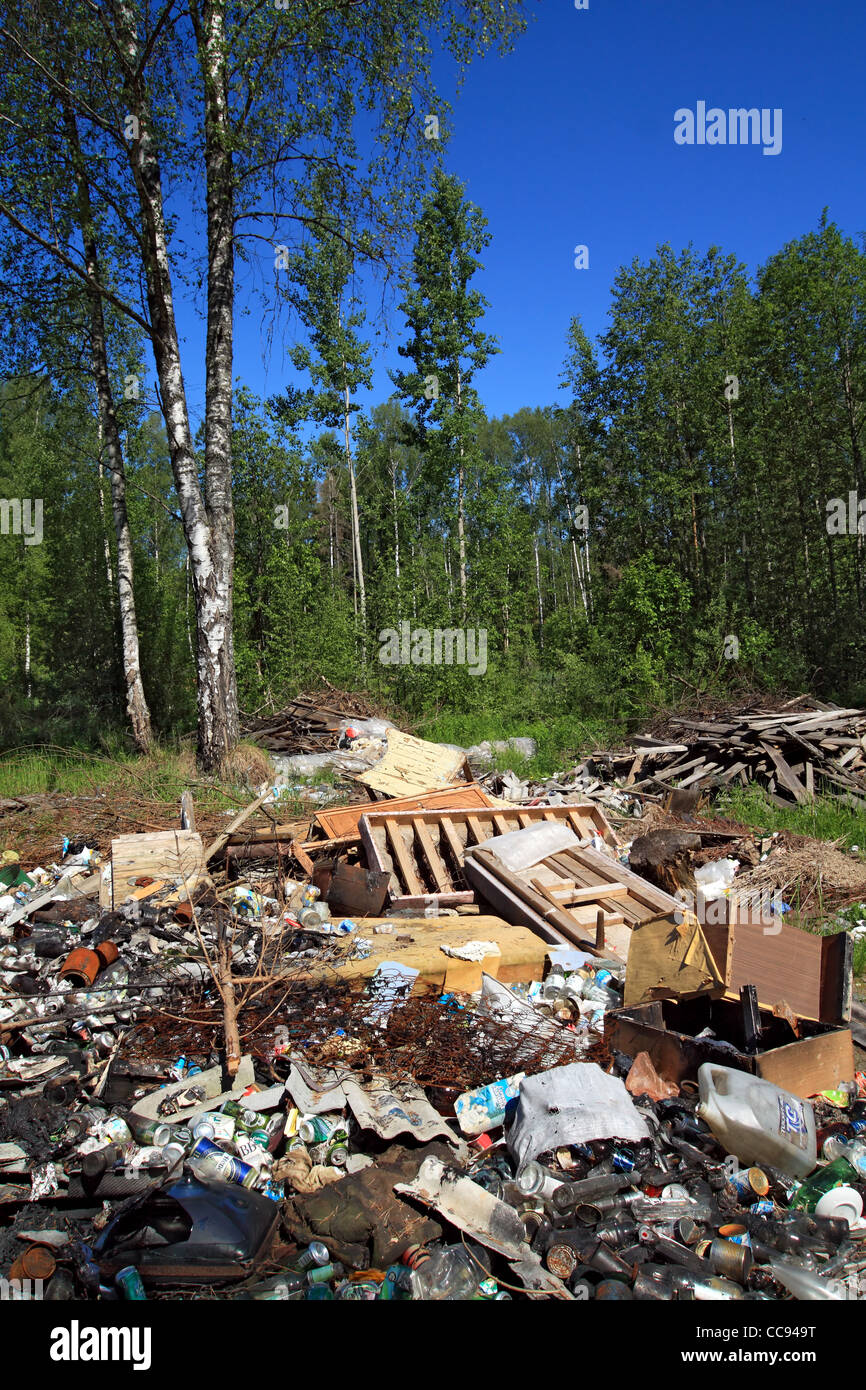 garbage pit in wood Stock Photo Alamy