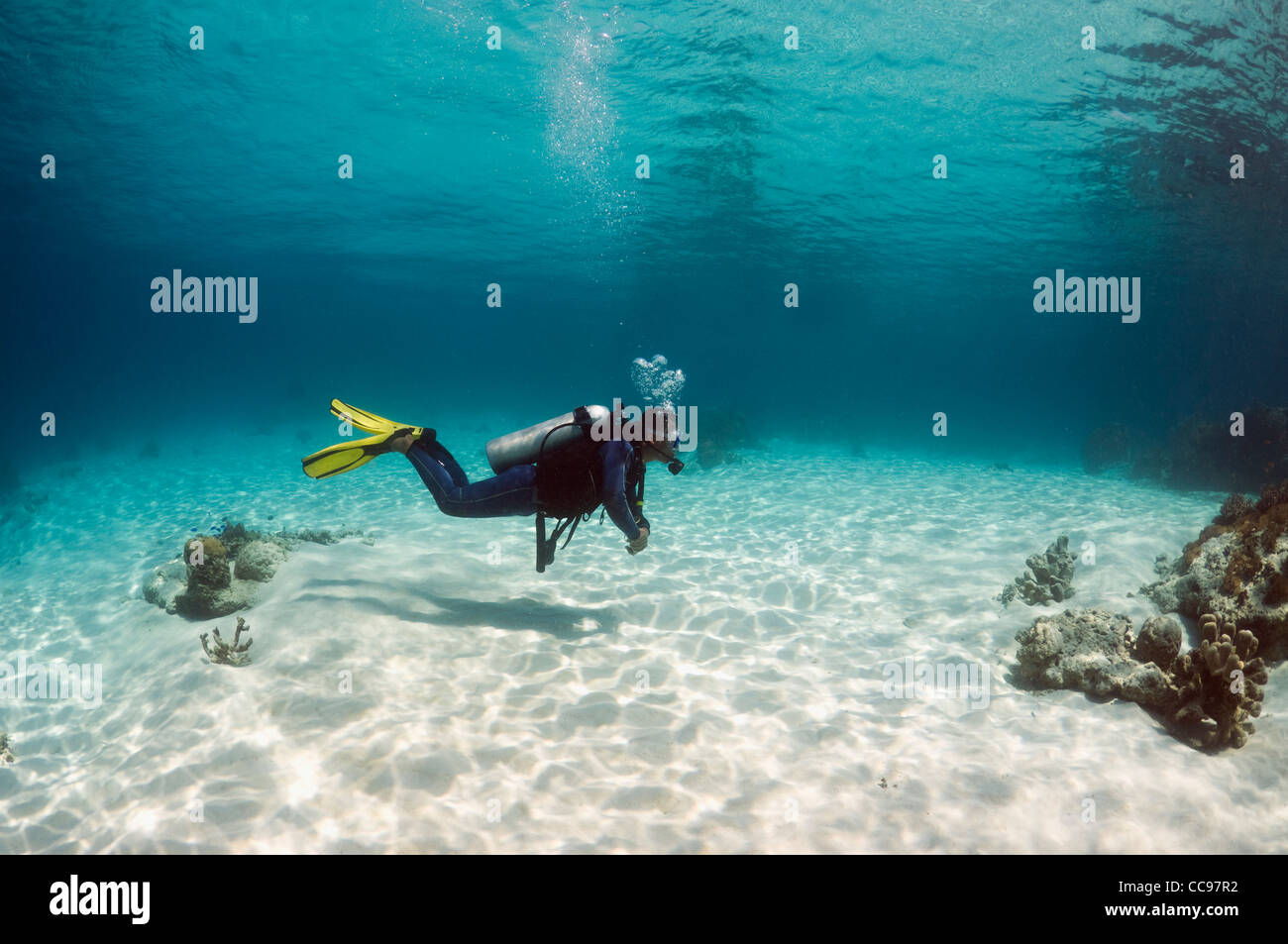 Male diver swimming over sandy bottom on shallow reef. Komodo National Park, Indonesia. Stock Photo