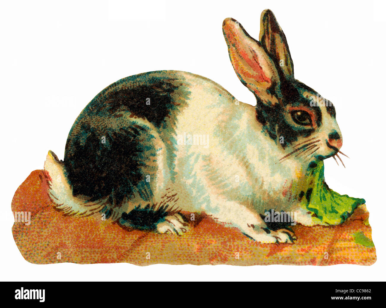 Antique image of rabbits Stock Photo - Alamy