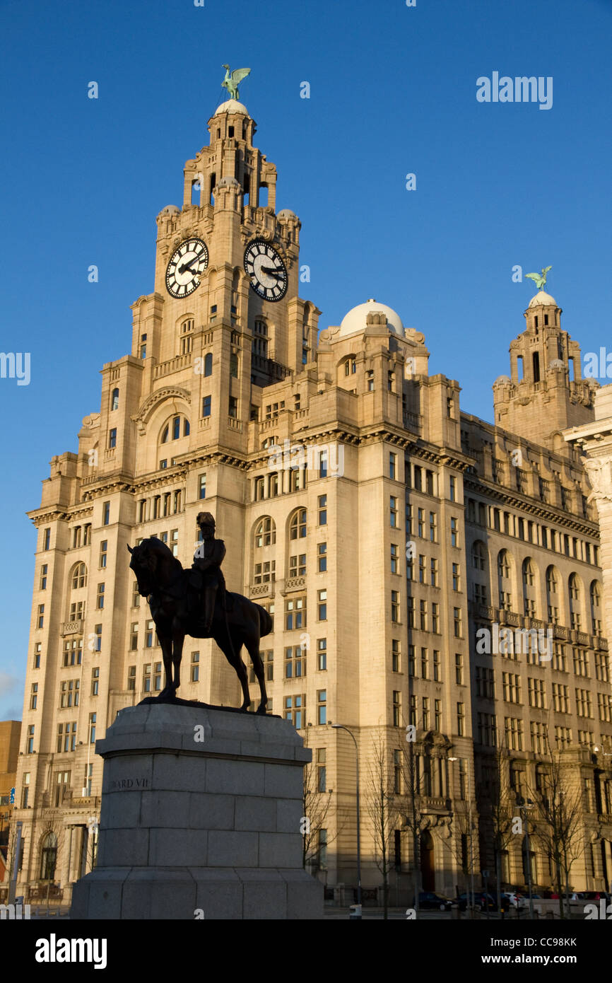 Bronze statue of King Edward 7th and the Royal Liver Building, Liverpool, Merseyside, England Stock Photo