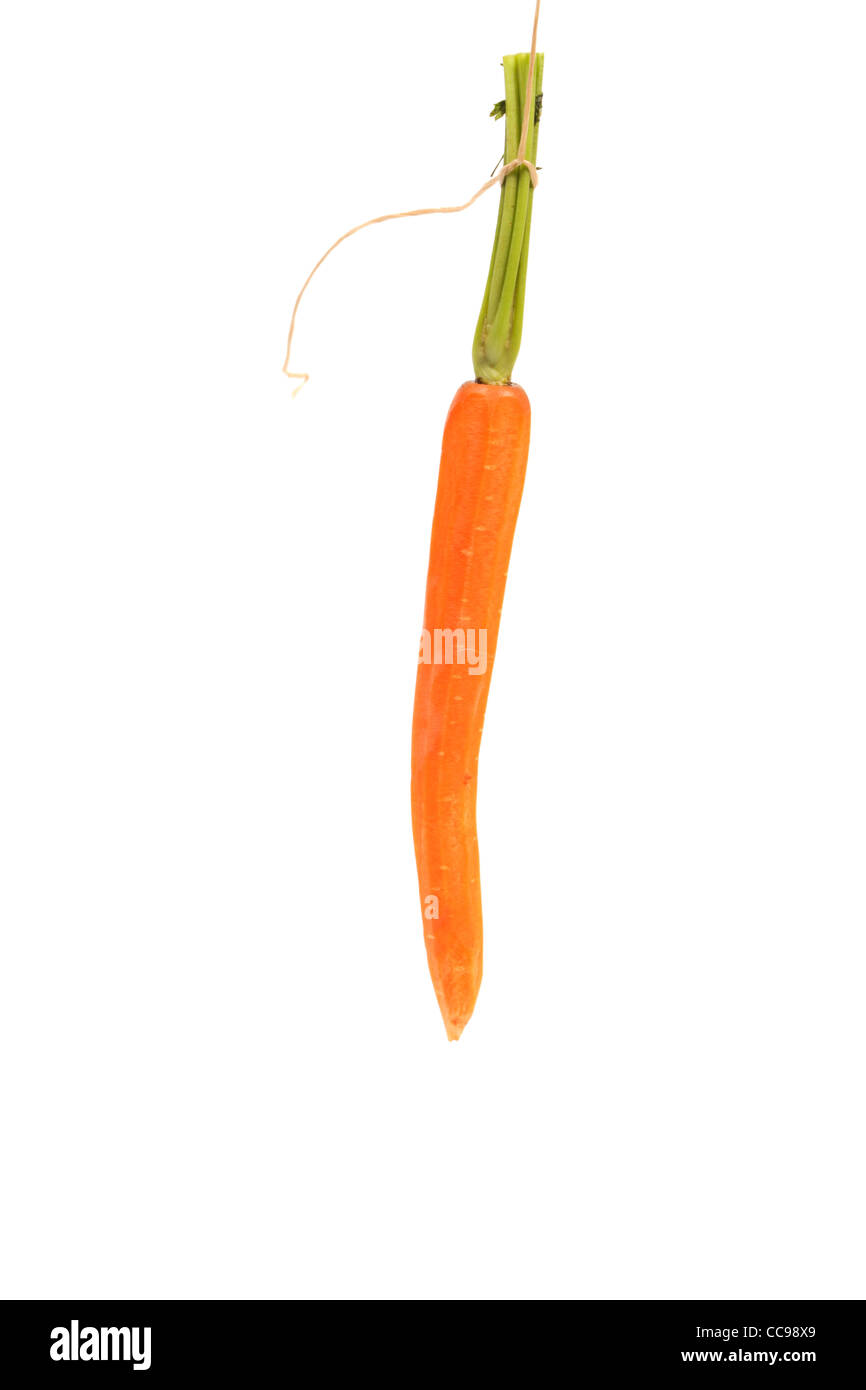 Delicious carrot dangling Stock Photo Alamy