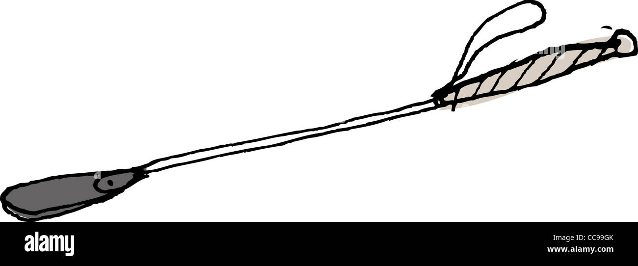 A riding crop Stock Photo Alamy