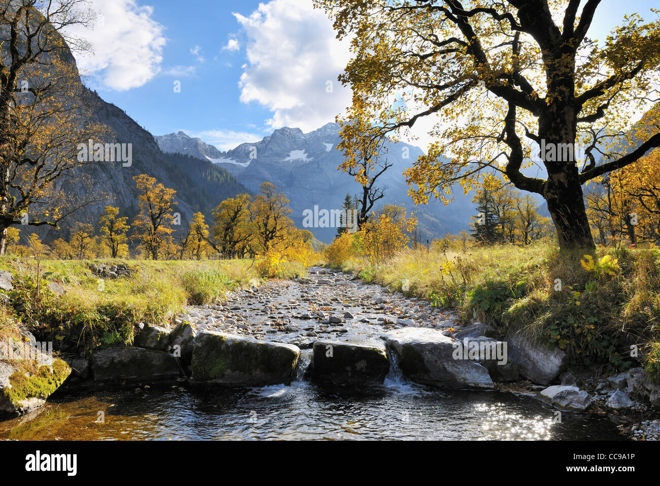 Mountain Stream in Autumn, Grosser Ahornboden, Karwendel, Tyrol, Austria Stock Photo
