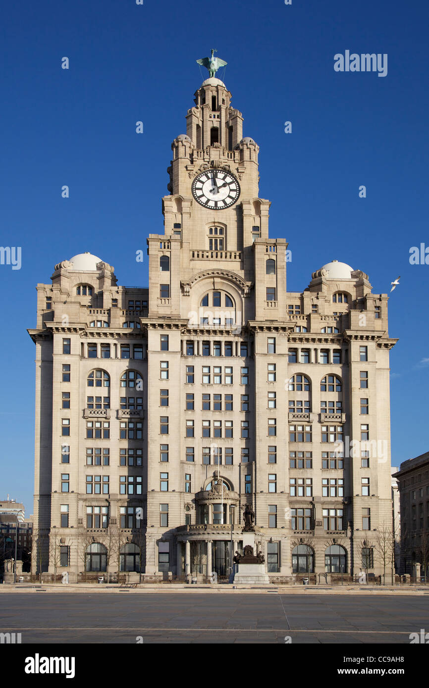 The Royal Liver building on Liverpool waterfront at the pierhead. Stock Photo
