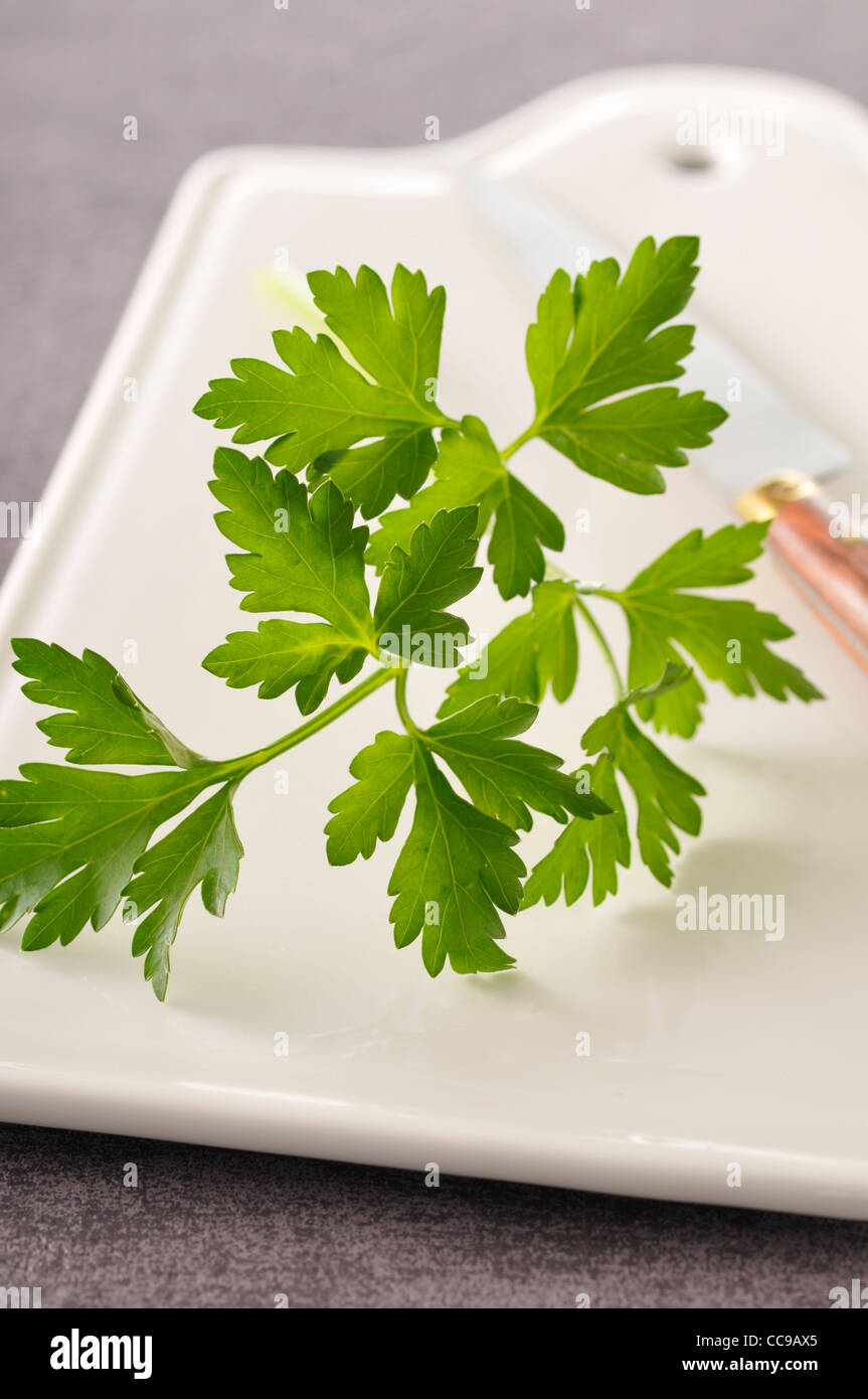 Herbs on Cutting Board Stock Photo