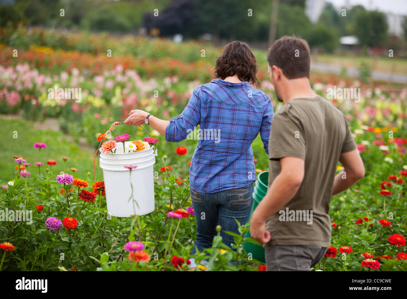 Woman picking flowers rear hires stock photography and images Alamy