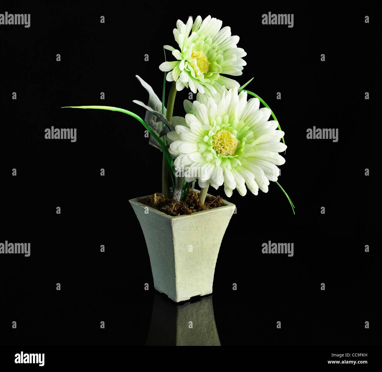 white decorative flowers on black background Stock Photo Alamy