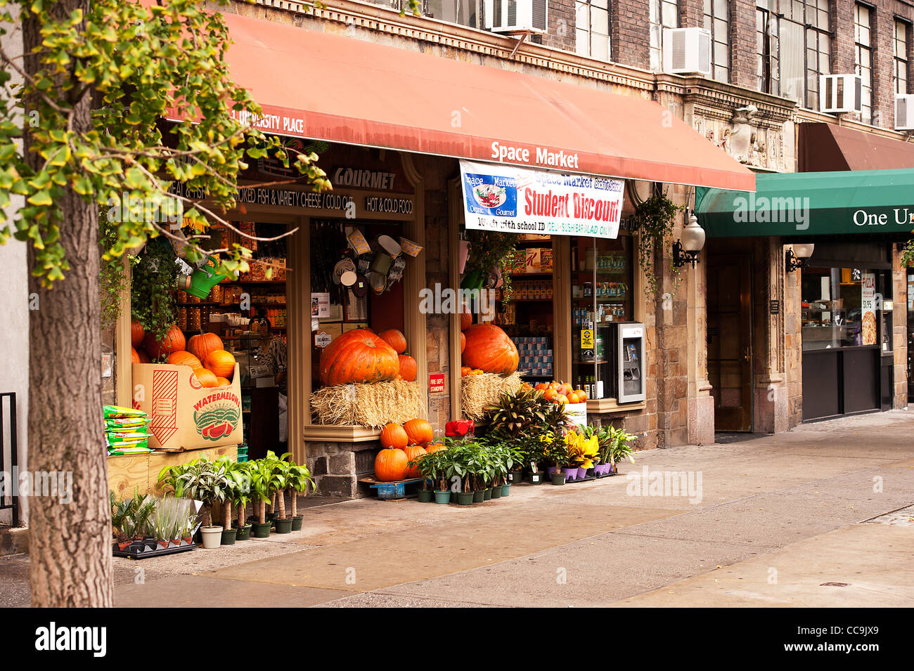 Grocery store, pumpkin season Stock Photo Alamy