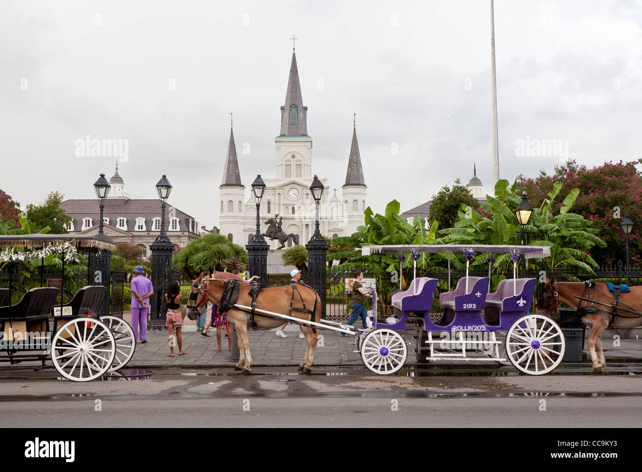 Horse and carriage vendors line up on Decatur Street in front of Jackson Square in the French Quarter of New Orleans, LA Stock Photo