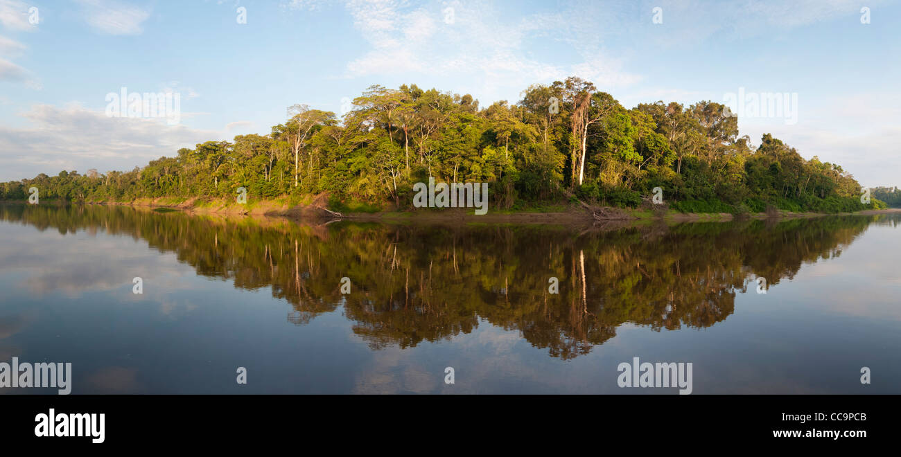 Pacaya Samiria National Reserve, Peru. Sky and trees reflected in the Samiria River. Stock Photo