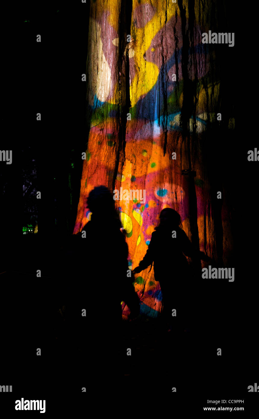 Illuminated tree hi-res stock photography and images - Alamy