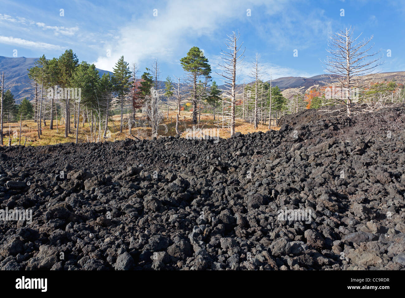Stream of lava at Mount Etna Stock Photo