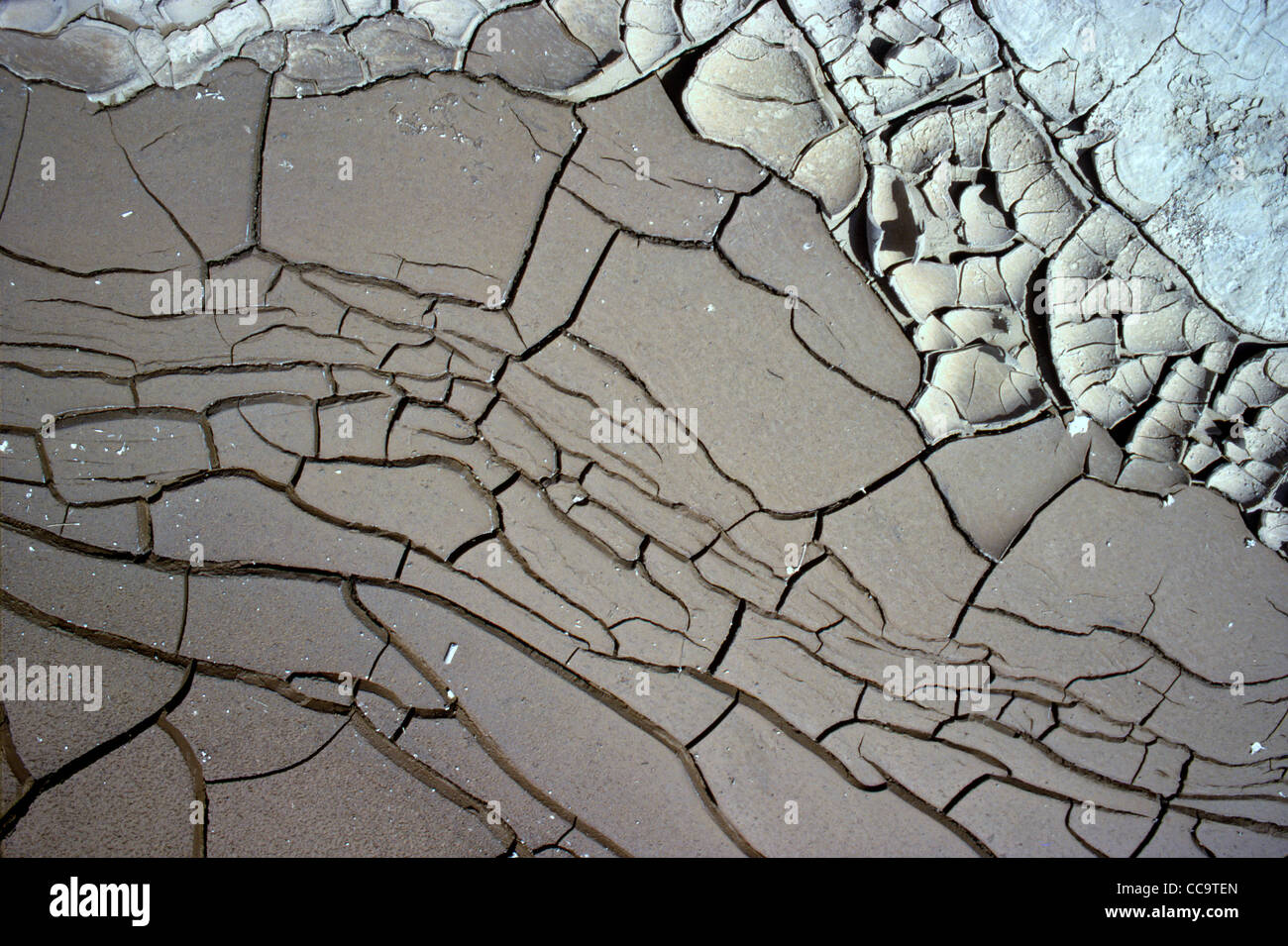 Pattern cracked mud plates Stock Photo - Alamy