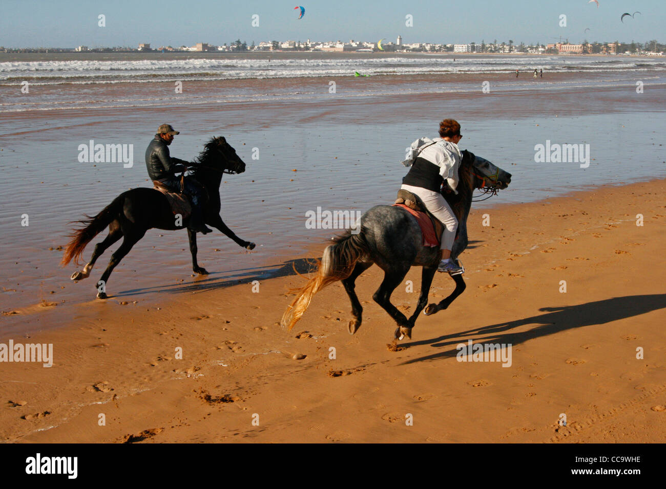 Gallop on the beach. Stock Photo