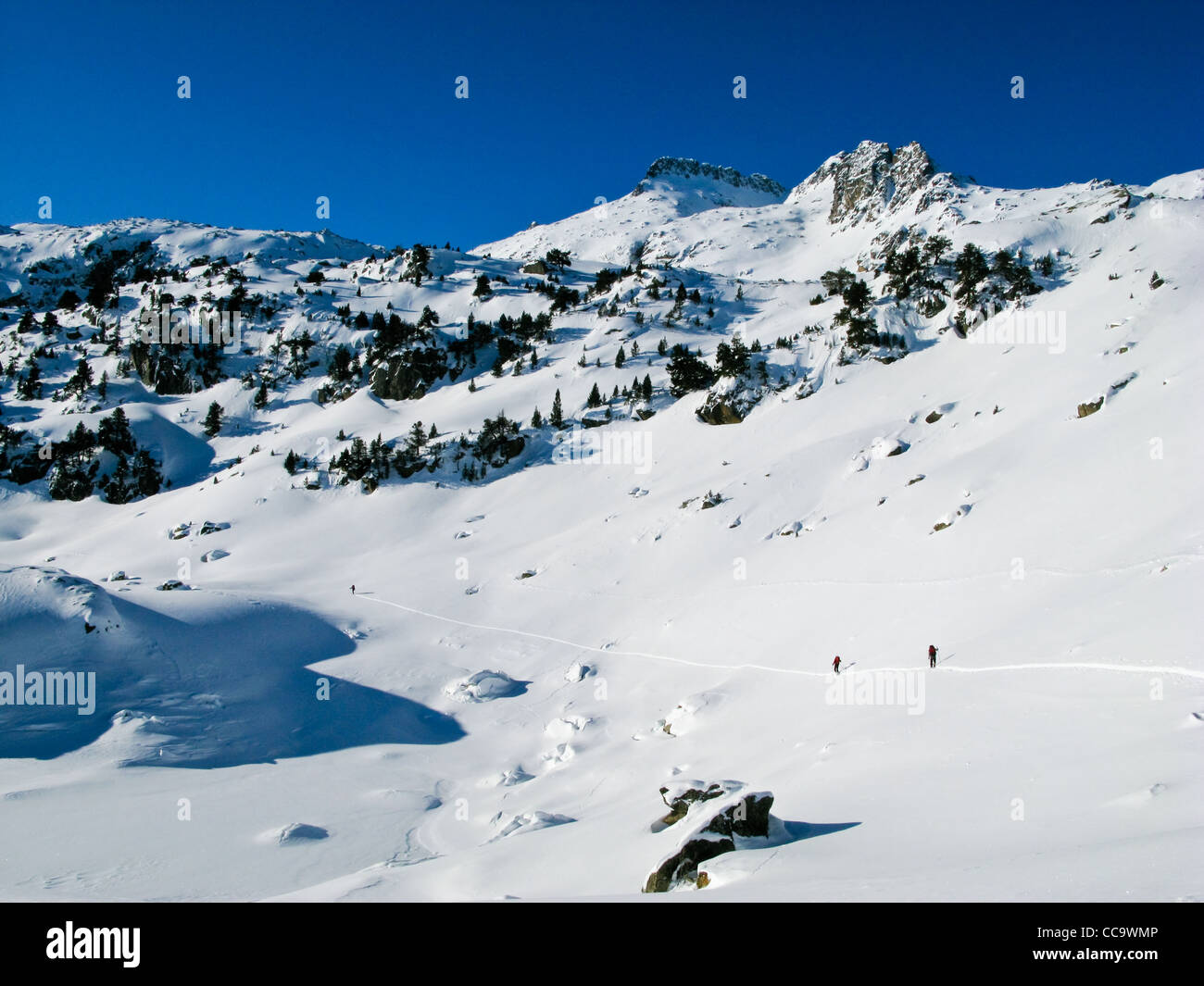 Snowshoeing in the Pyrenees, Aigues Tortes National Park, France Stock ...