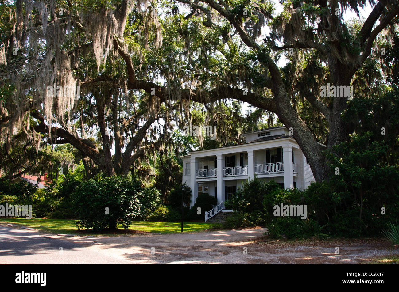 W. Bluff Drive, Savannah, Stock Photo Alamy
