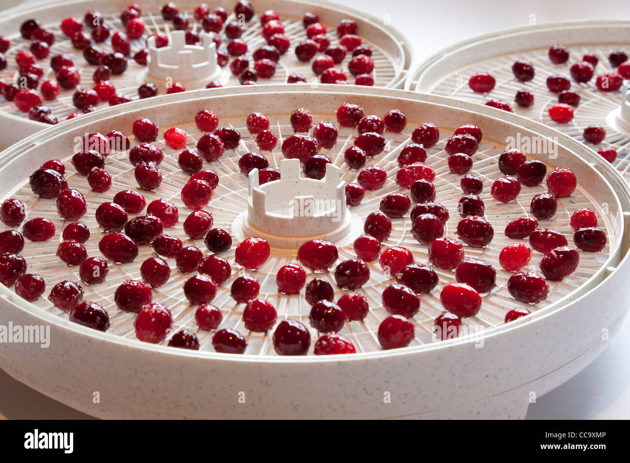 Food dehydrator cranberries hires stock photography and images Alamy