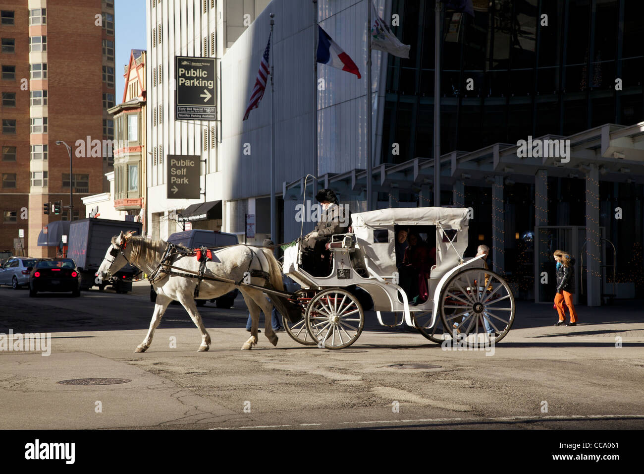 Horse drawn carriage Chicago Illinois Stock Photo Alamy