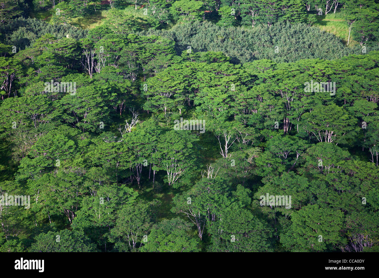 Aerial of hawaii hi-res stock photography and images - Alamy
