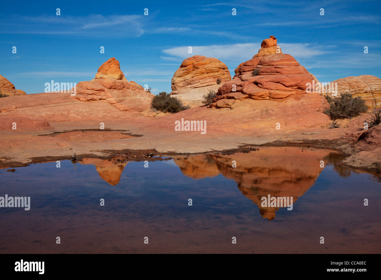 Reflective pool at the Second Wave (Coyote Buttes). Stock Photo