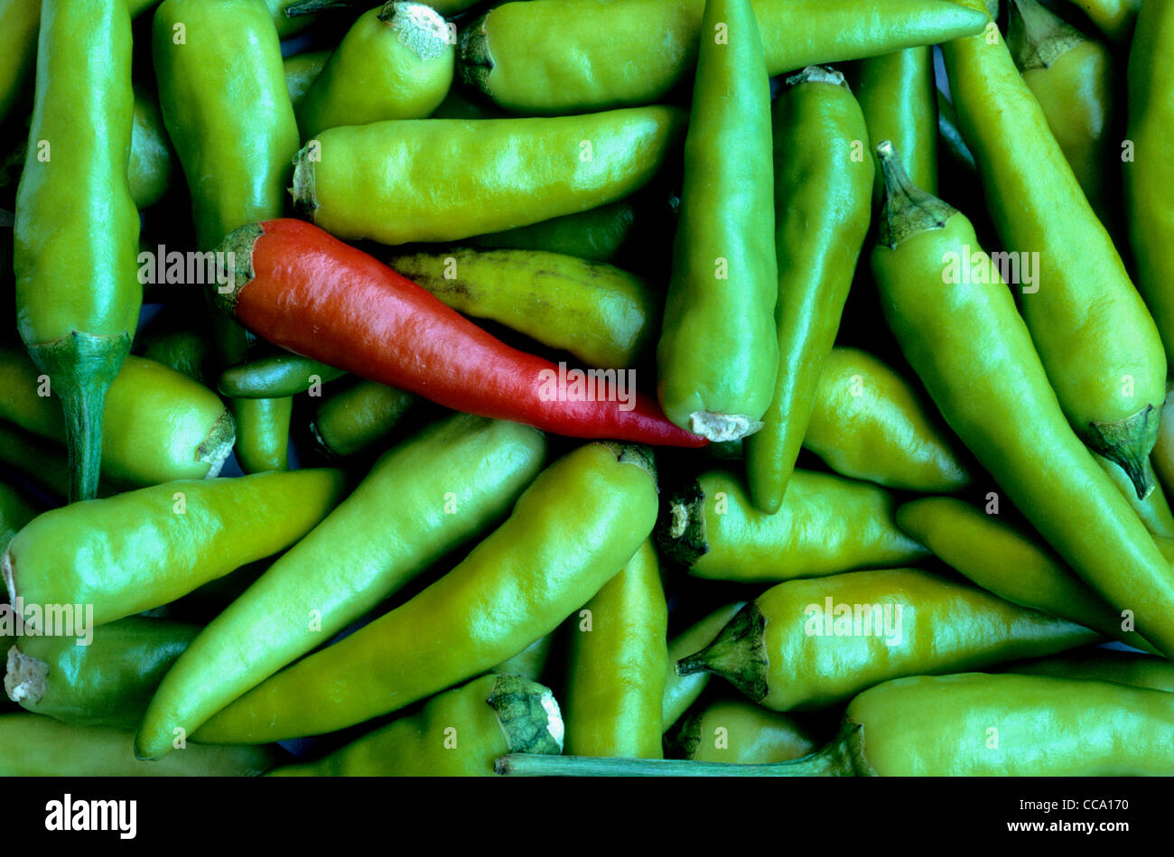 One red and many green peppers hi-res stock photography and images - Alamy
