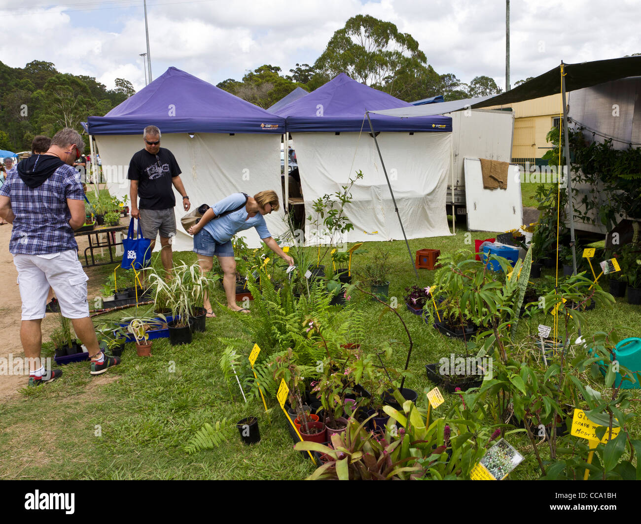 Country produce market at Yandina, Sunshine Coast, Queensland