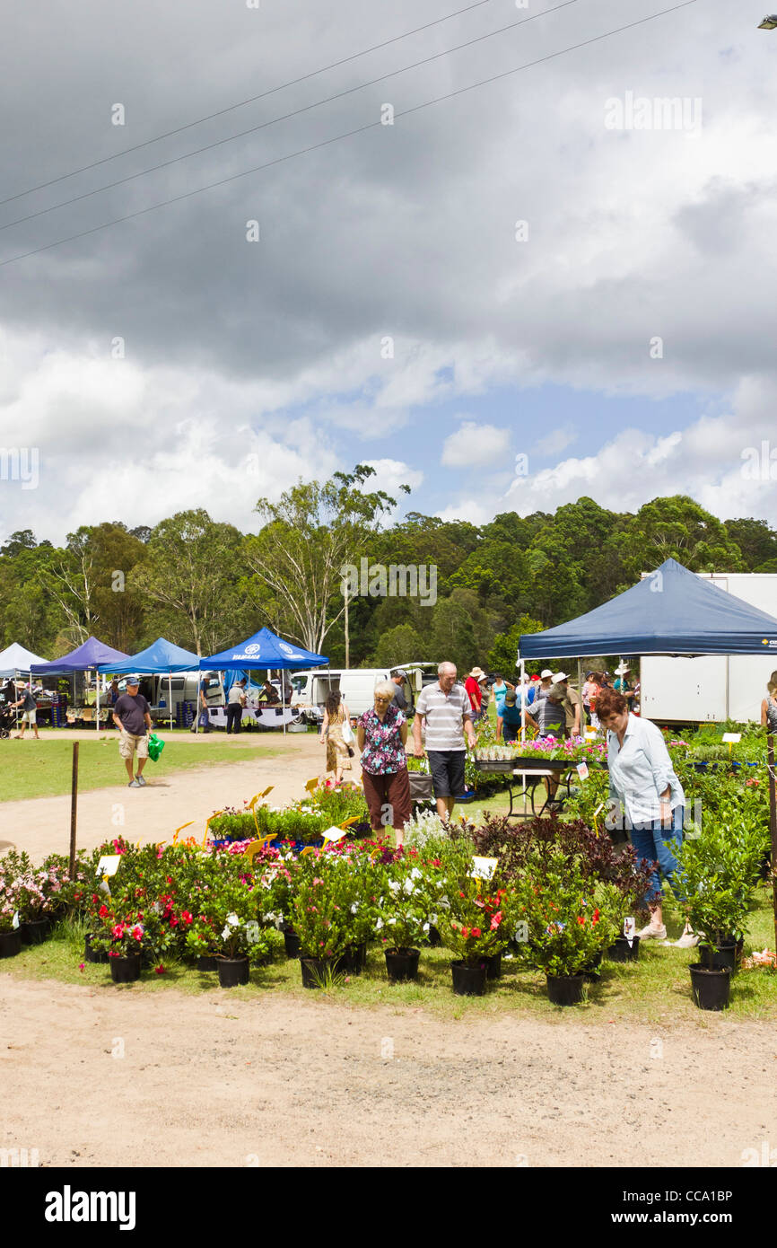 Country produce market at Yandina, Sunshine Coast, Queensland