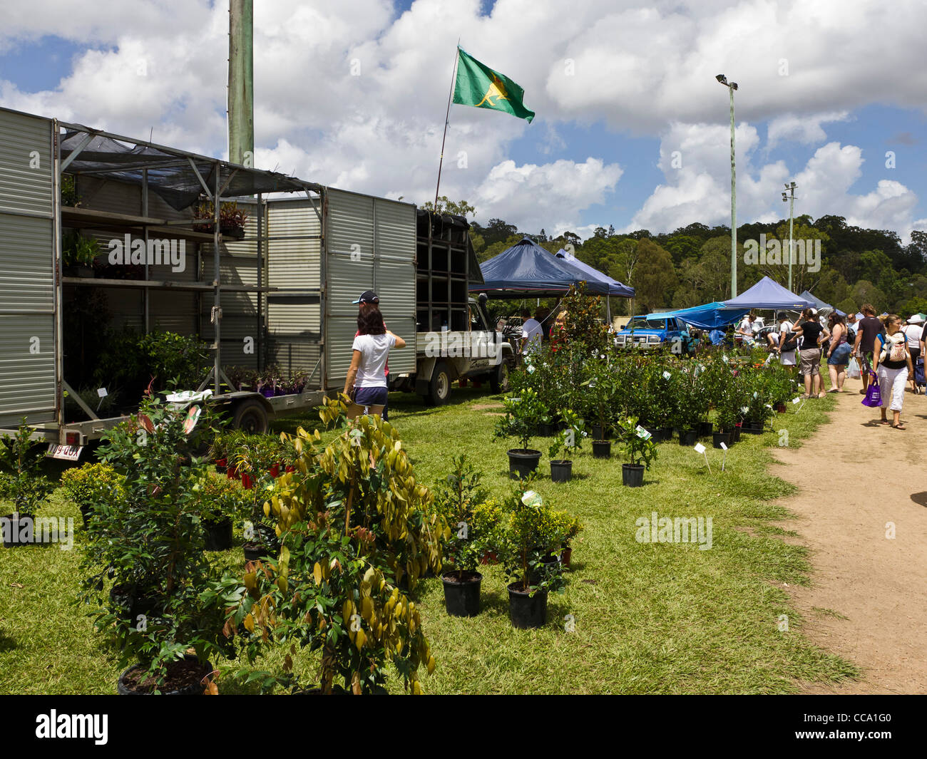 Plant stall at country produce market at Yandina, Sunshine Coast