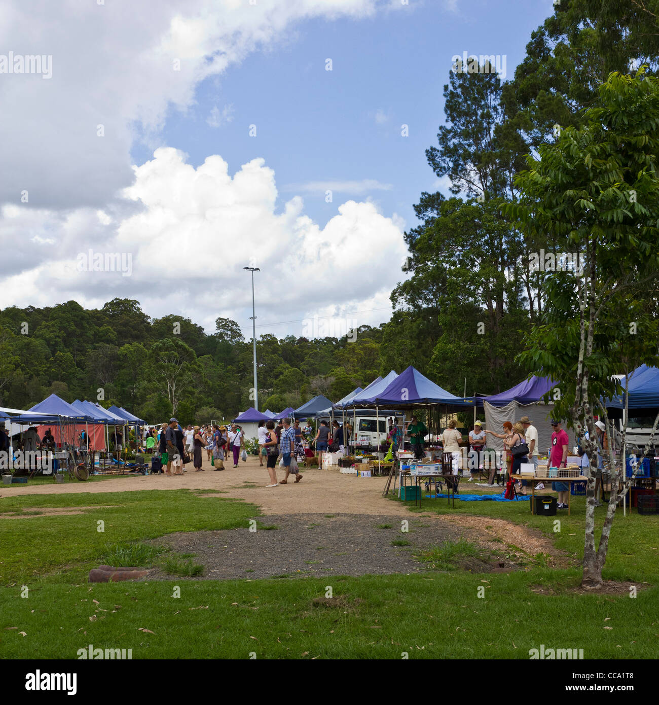 Country produce market at Yandina, Sunshine Coast, Queensland