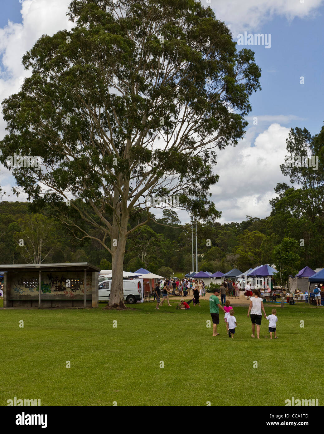 Country produce market at Yandina, Sunshine Coast, Queensland
