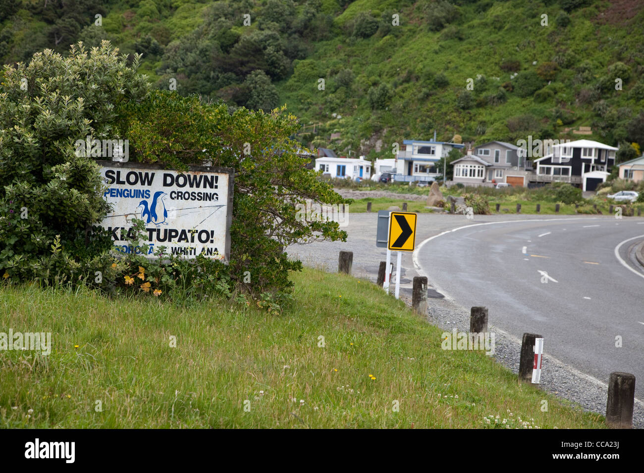 Wellington, New Zealand. 'Slow down for Penguins' Sign, Suburban Residential Area. Stock Photo