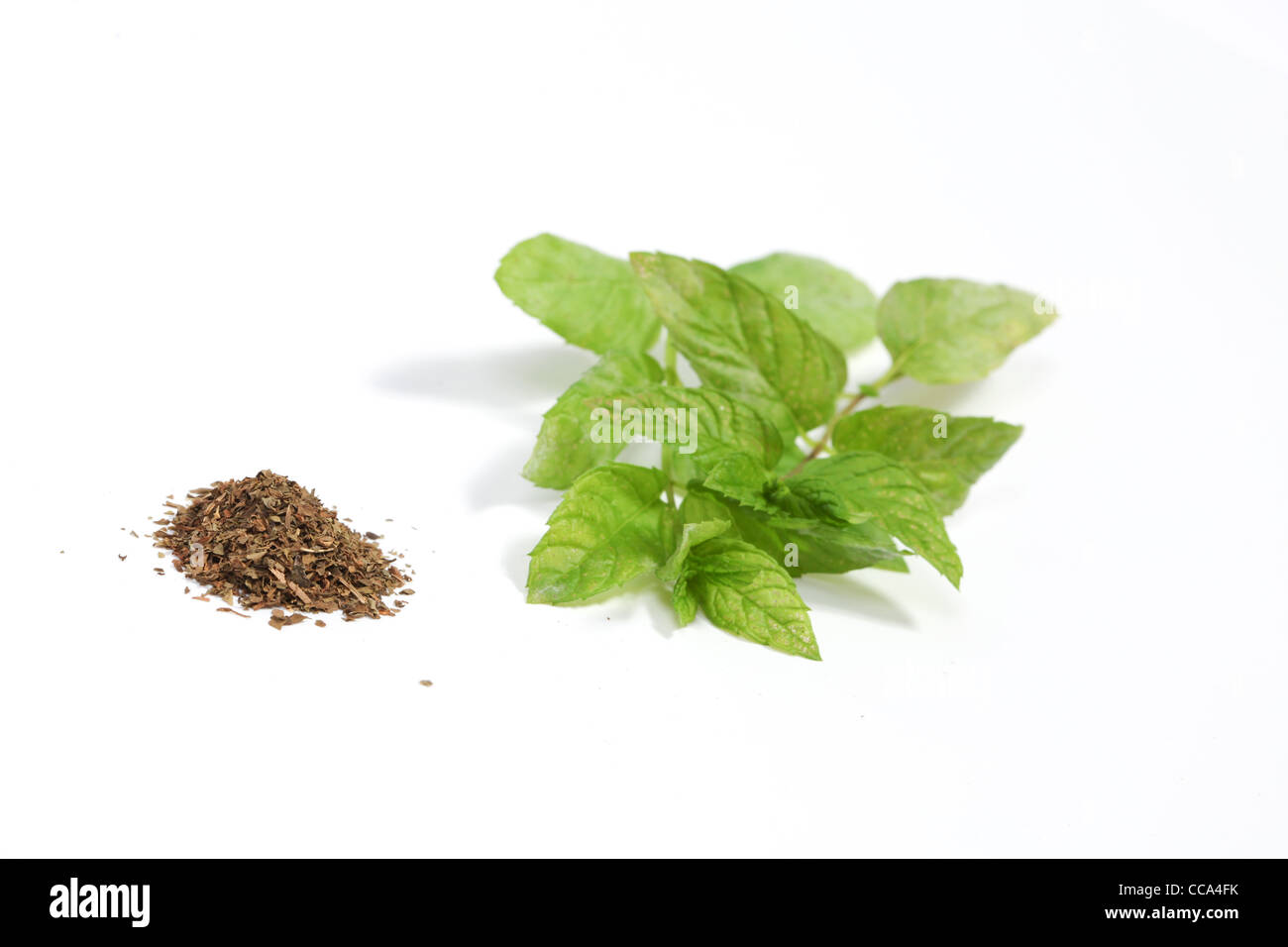 Fresh an dried mint Stock Photo Alamy
