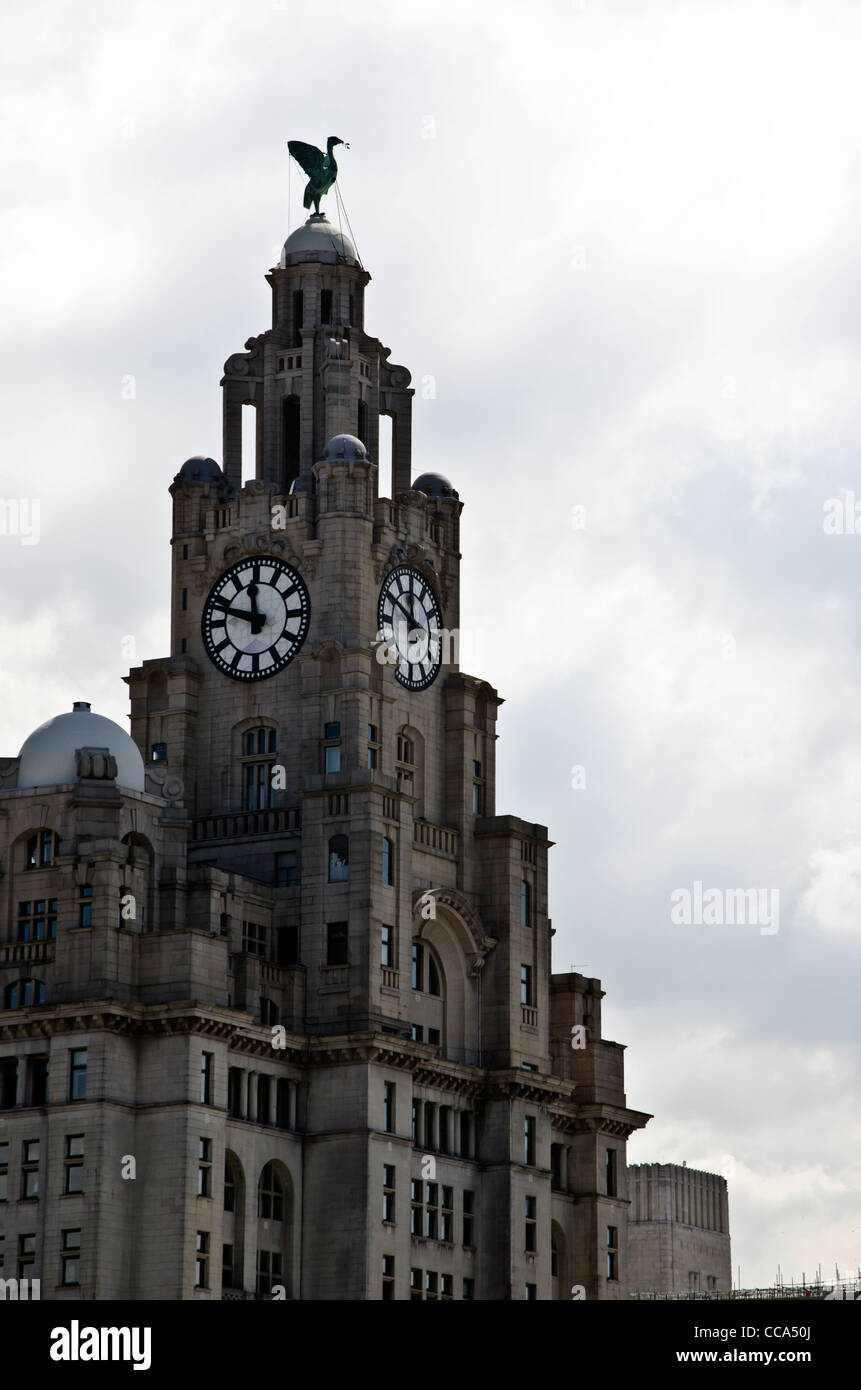 Clock tower on the Liver Building, Liverpool, England. Stock Photo