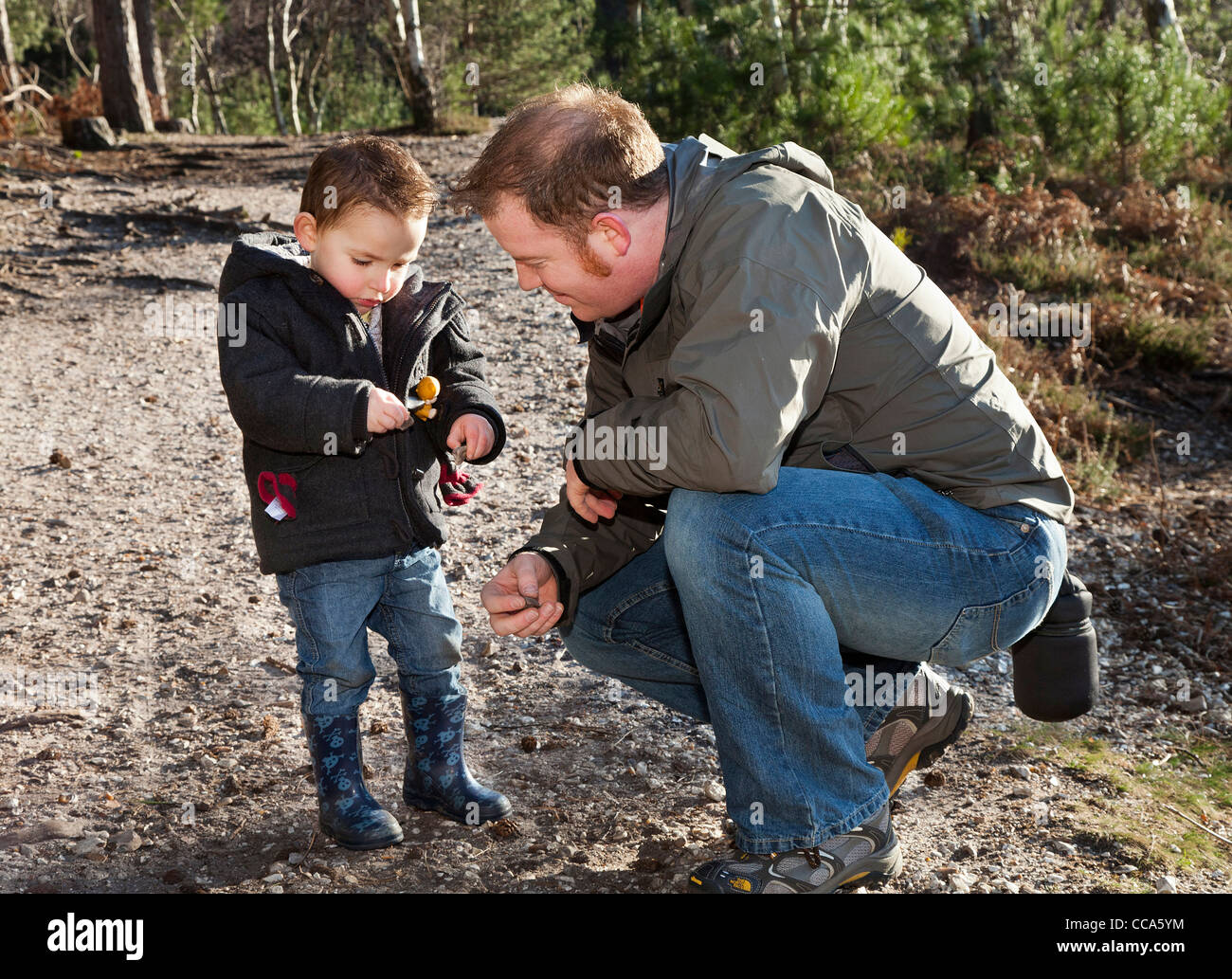 Father and son playing, showing and learning together in the New Forest Stock Photo
