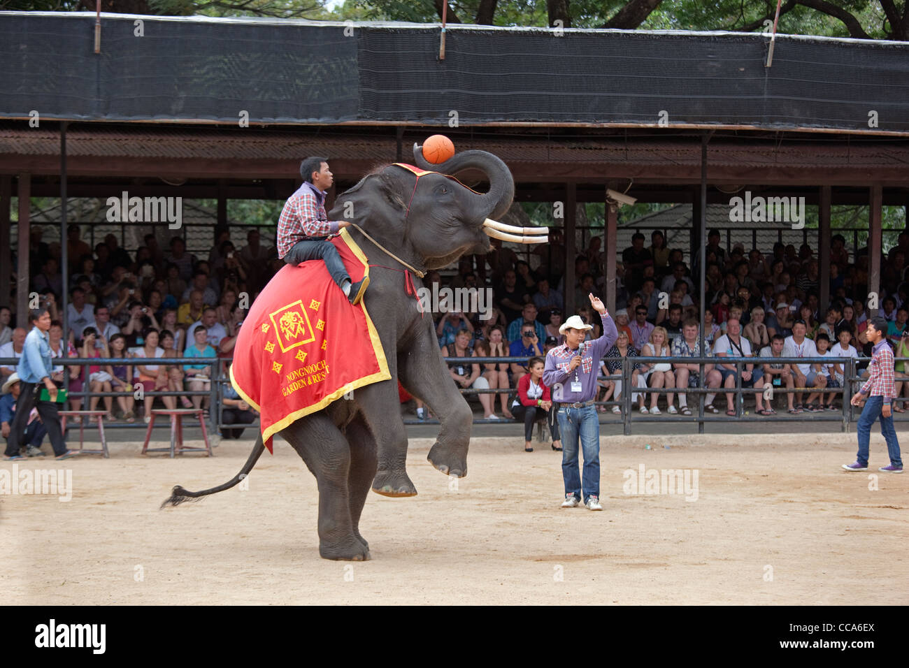 Elephant show at Thailand zoo Stock Photo