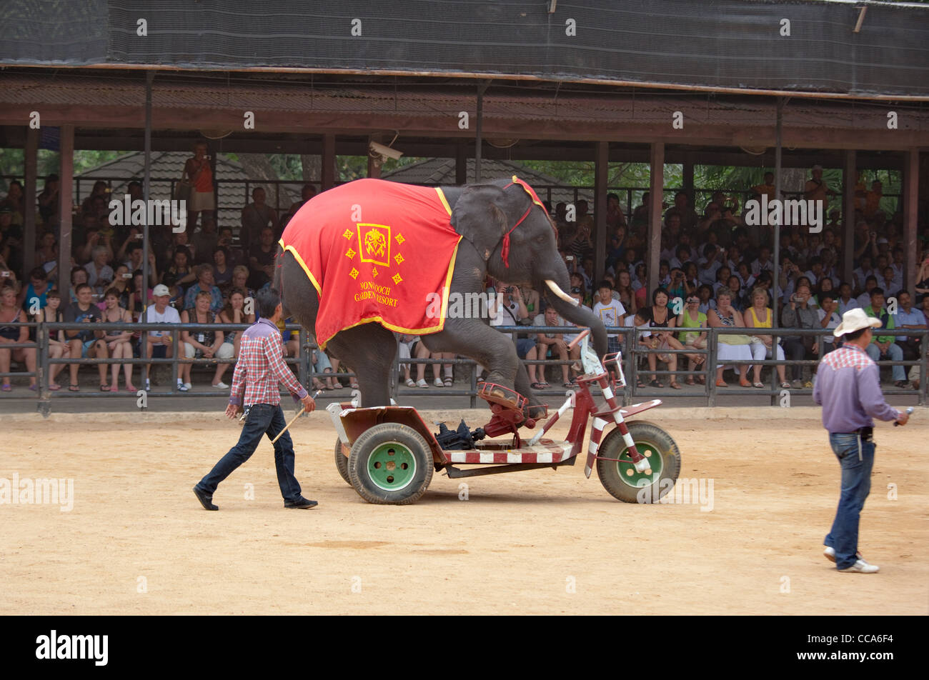 Elephant show at Thailand zoo Stock Photo