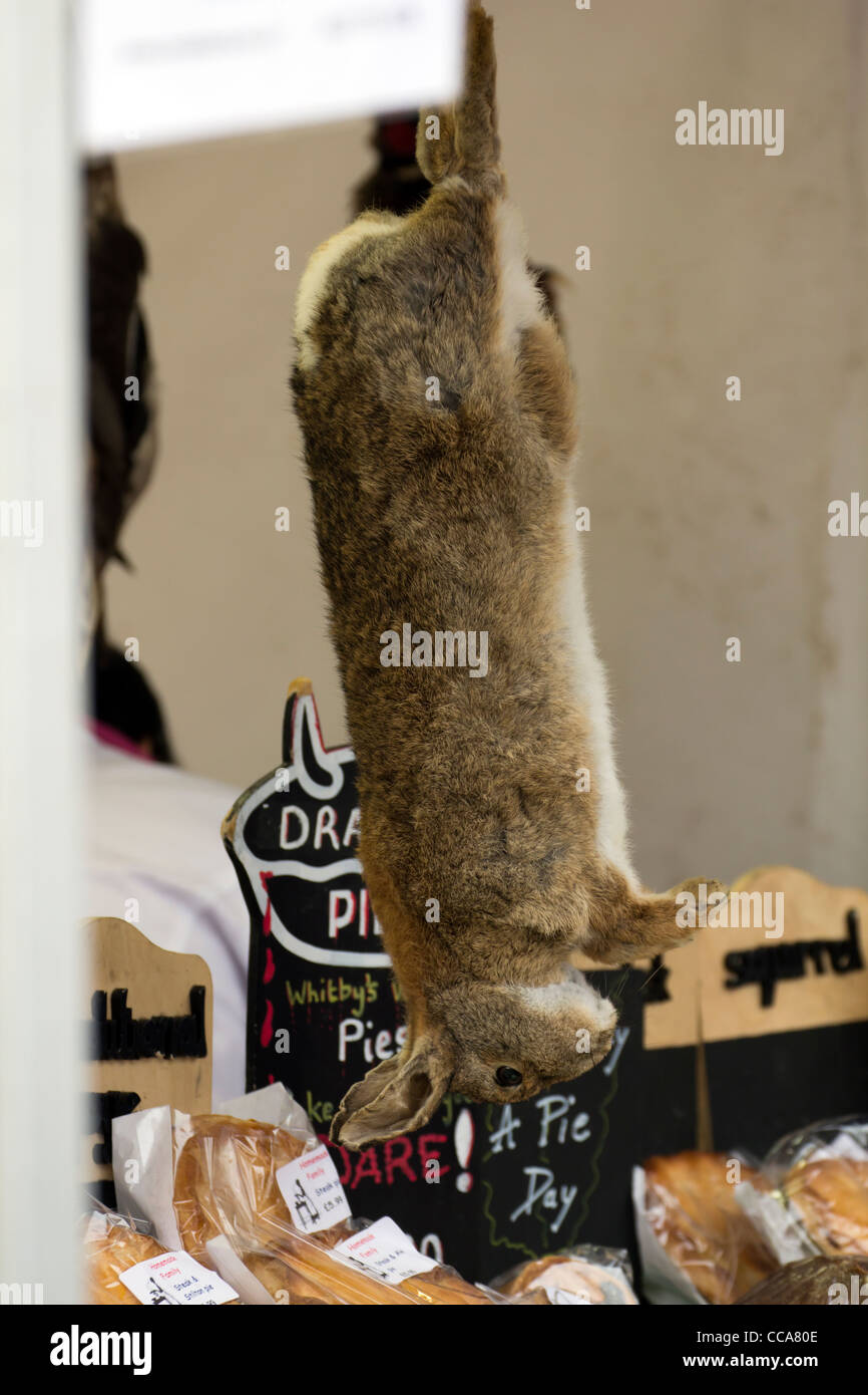 Rabbit Meat Stock Photos & Rabbit Meat Stock Images Alamy