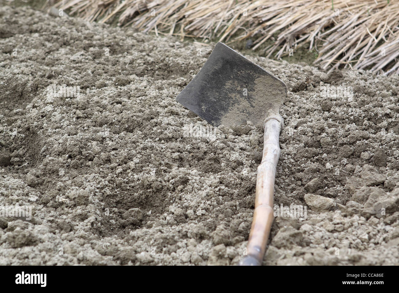 spade ready to prepare vegetable bed for sowing  Stock Photo