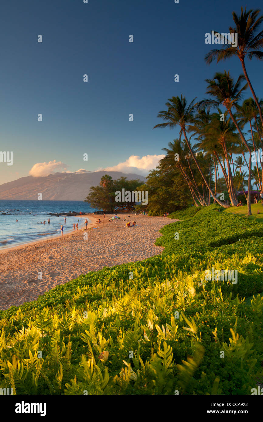 Ulua Beach, Wailea, Maui, Hawaii. Stock Photo