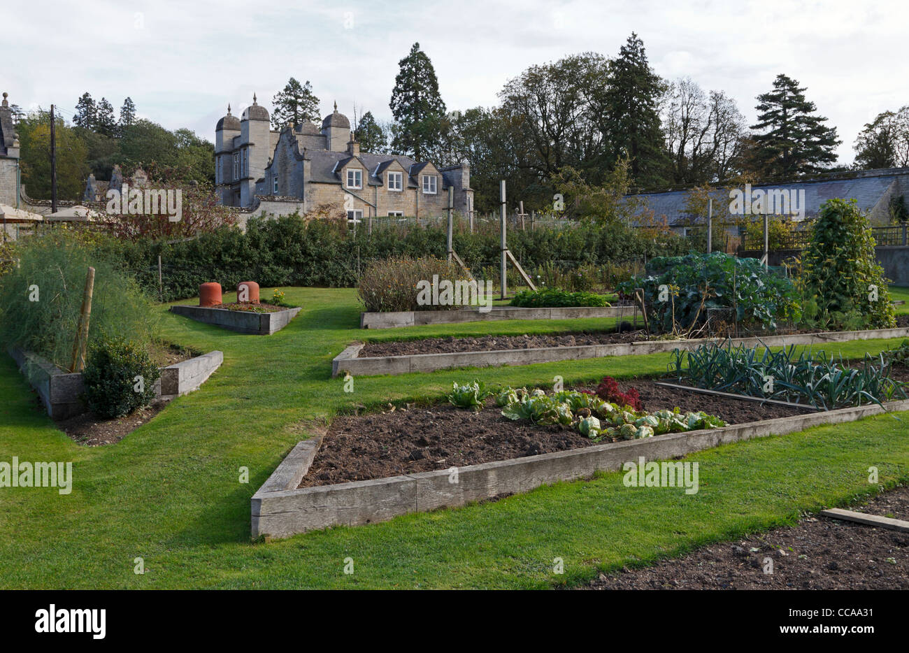 Easton Walled Garden. Historic lost gardens are being reclaimed. Raised beds with wooden edging in a terraced vegetable garden. Stock Photo
