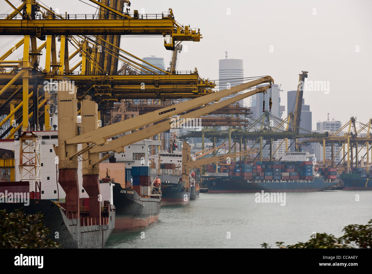 Container ships are moored at the quayside of the Brani Terminal at the
