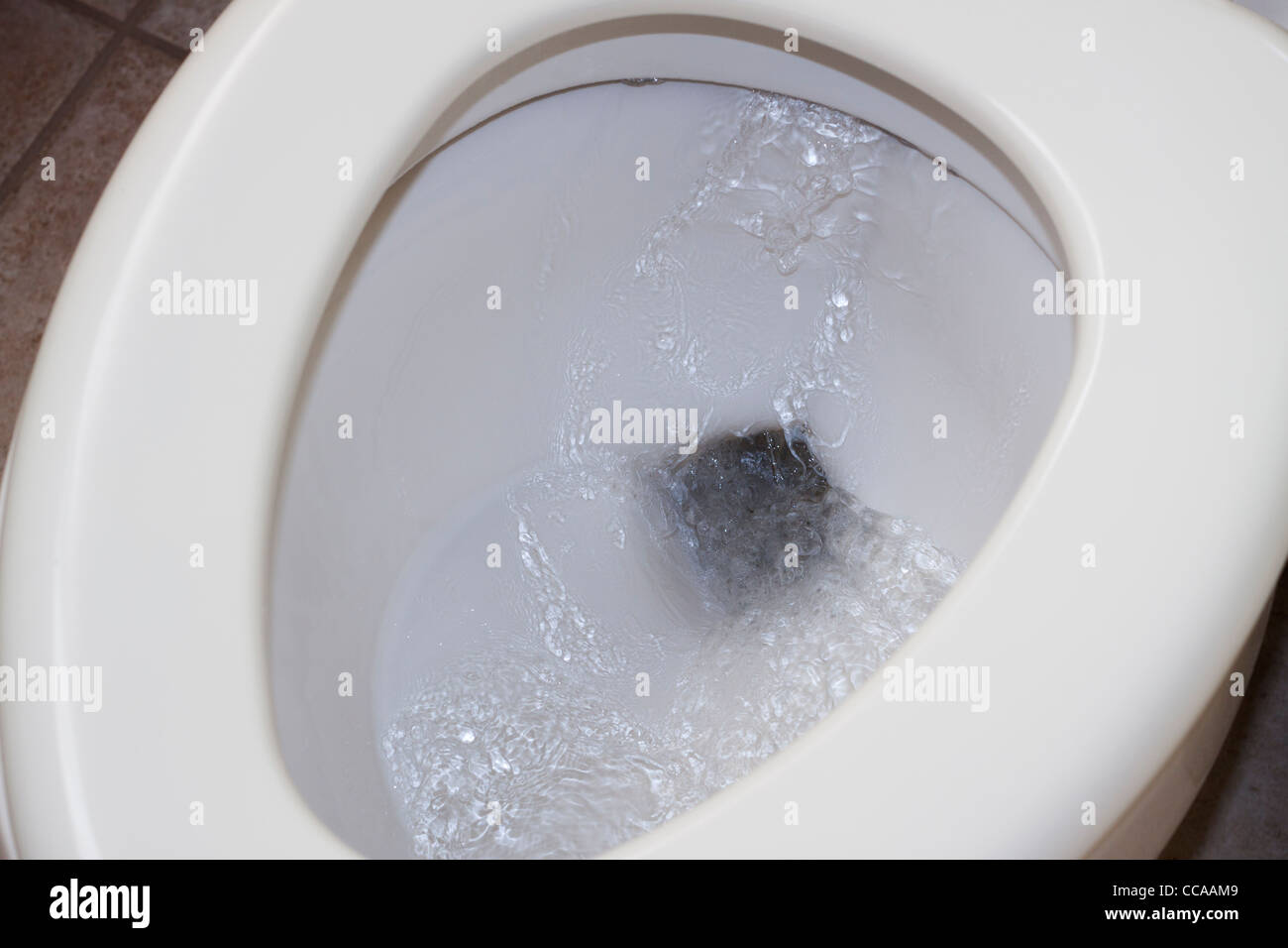 Closeup of clean toilet bowl flushing Stock Photo